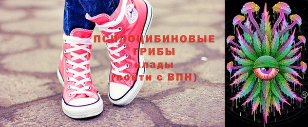 бошки Заводоуковск