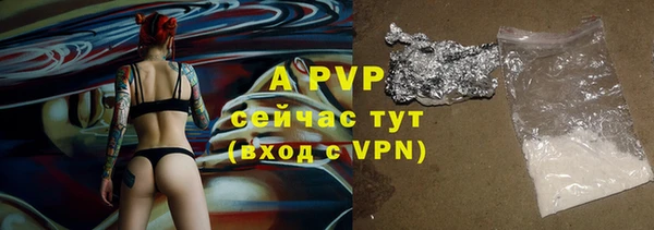бошки Заводоуковск