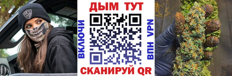 где можно купить наркотик  Шилка  МАРИХУАНА ГИДРОПОН 